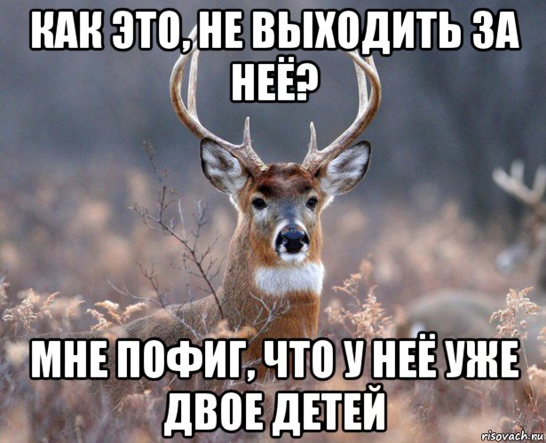 как это, не выходить за неё? мне пофиг, что у неё уже двое детей, Мем   Наивный олень