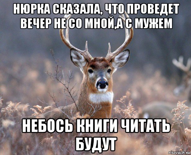 нюрка сказала, что проведет вечер не со мной,а с мужем небось книги читать будут, Мем   Наивный олень