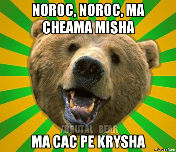 noroc, noroc, ma cheama misha ma cac pe krysha, Мем Нелепый медведь