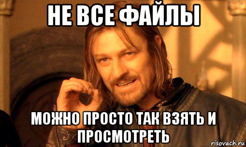 не все файлы можно просто так взять и просмотреть, Мем Нельзя просто так взять и (Боромир мем)