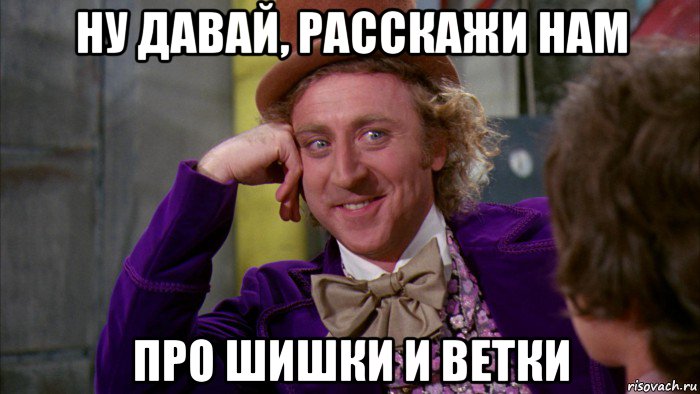 ну давай, расскажи нам про шишки и ветки, Мем Ну давай расскажи (Вилли Вонка)