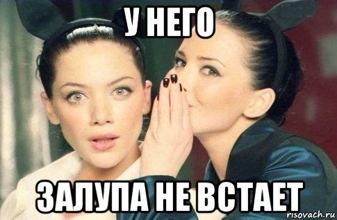 у него залупа не встает, Мем  Он