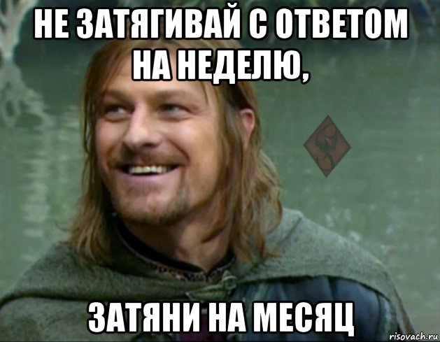 не затягивай с ответом на неделю, затяни на месяц, Мем ОР Тролль Боромир