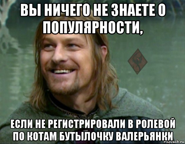 вы ничего не знаете о популярности, если не регистрировали в ролевой по котам бутылочку валерьянки, Мем ОР Тролль Боромир