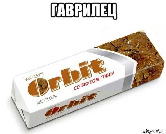 гаврилец , Мем орбит