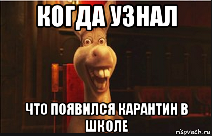 когда узнал что появился карантин в школе, Мем Осел из Шрека