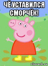 чё уставился сморчёк! , Мем  Peppa