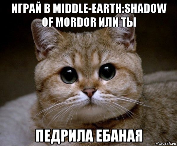 играй в middle-earth:shadow of mordor или ты педрила ебаная, Мем Пидрила Ебаная
