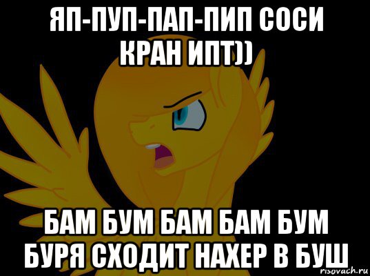 яп-пуп-пап-пип соси кран ипт)) бам бум бам бам бум буря сходит нахер в буш, Мем  Пони1