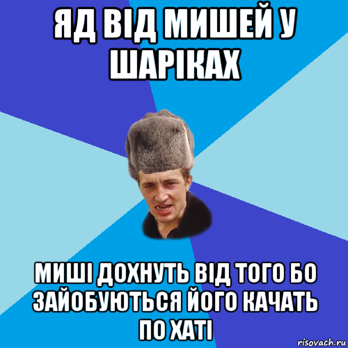 яд від мишей у шаріках миші дохнуть від того бо зайобуються його качать по хаті, Мем Празднчний паца