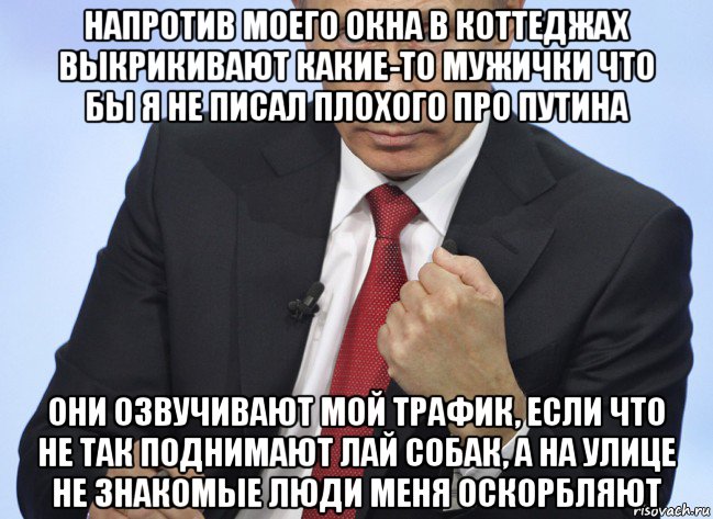 напротив моего окна в коттеджах выкрикивают какие-то мужички что бы я не писал плохого про путина они озвучивают мой трафик, если что не так поднимают лай собак, а на улице не знакомые люди меня оскорбляют, Мем Путин показывает кулак