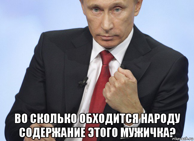  во сколько обходится народу содержание этого мужичка?, Мем Путин показывает кулак