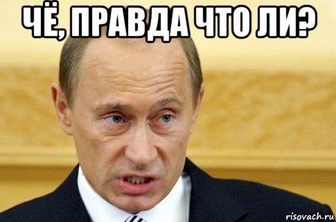 чё, правда что ли? , Мем путин