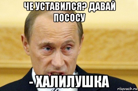 че уставился? давай пососу - халилушка, Мем путин