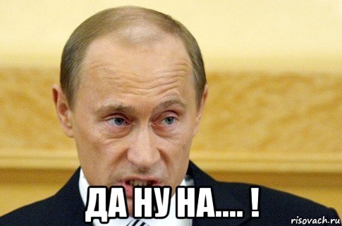  да ну на.... !, Мем путин