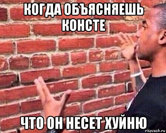 когда объясняешь консте что он несет хуйню, Мем разговор со стеной