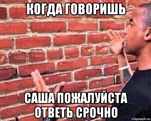 когда говоришь саша пожалуйста ответь срочно, Мем разговор со стеной