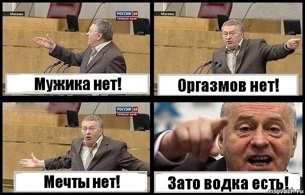 Мужика нет! Оргазмов нет! Мечты нет! Зато водка есть!, Комикс с Жириновским