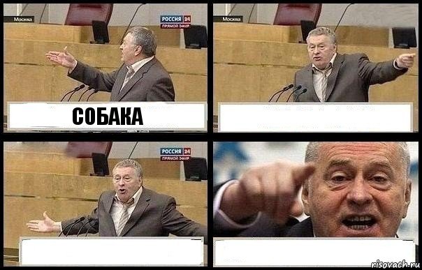 СОБАКА   , Комикс с Жириновским