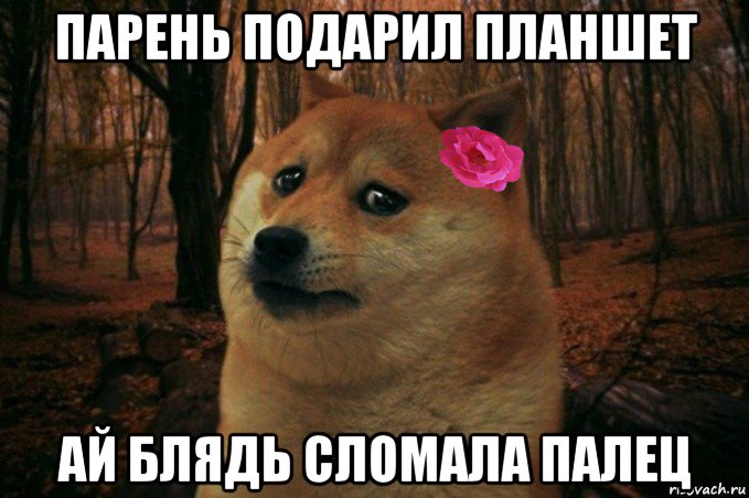 парень подарил планшет ай блядь сломала палец, Мем  SAD DOGE GIRL