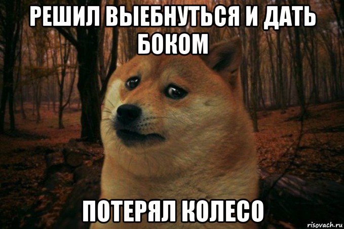 решил выебнуться и дать боком потерял колесо, Мем SAD DOGE