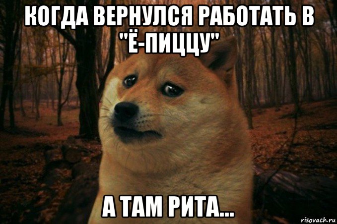 когда вернулся работать в "ё-пиццу" а там рита..., Мем SAD DOGE