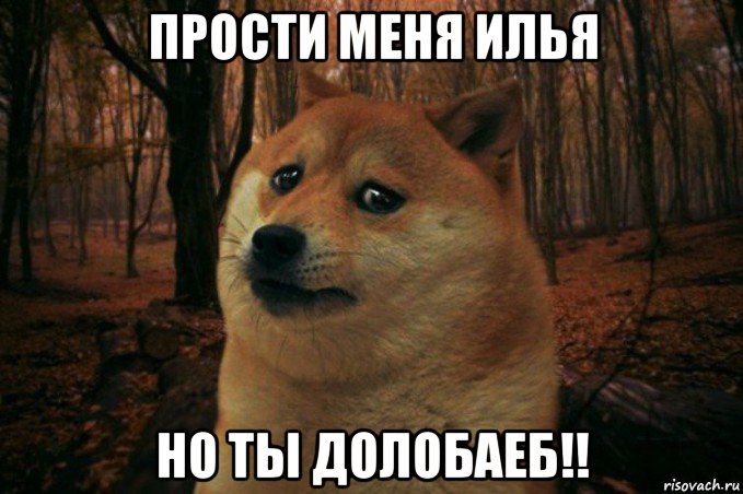 прости меня илья но ты долобаеб!!, Мем SAD DOGE