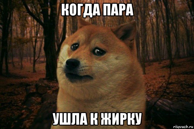 когда пара ушла к жирку, Мем SAD DOGE