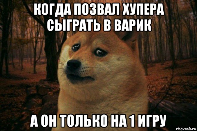 когда позвал хупера сыграть в варик а он только на 1 игру, Мем SAD DOGE