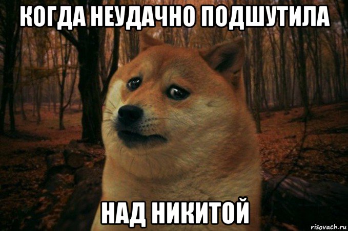 когда неудачно подшутила над никитой, Мем SAD DOGE