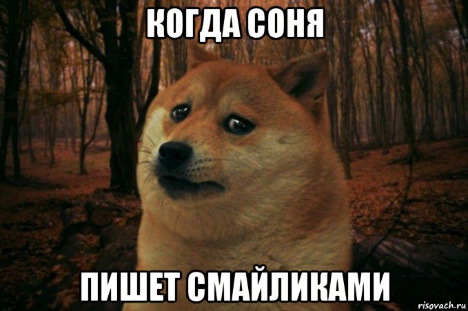 когда соня пишет смайликами, Мем SAD DOGE