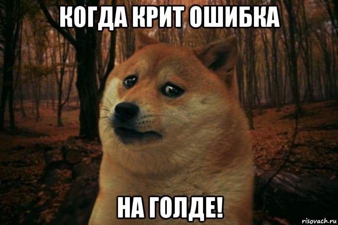 когда крит ошибка на голде!, Мем SAD DOGE