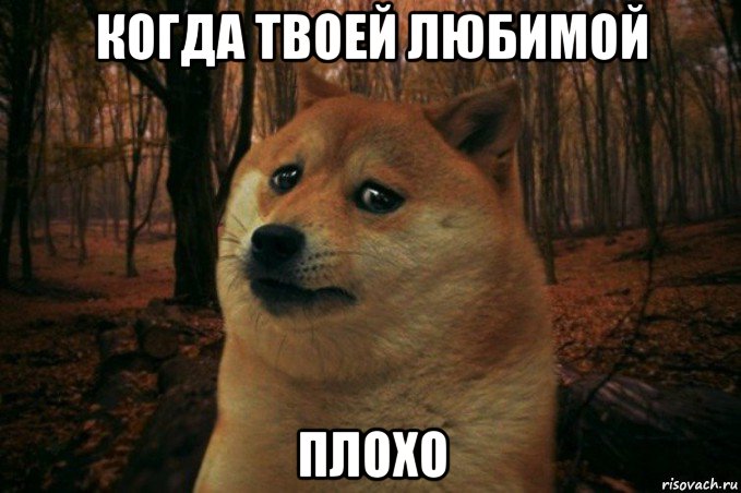 когда твоей любимой плохо, Мем SAD DOGE