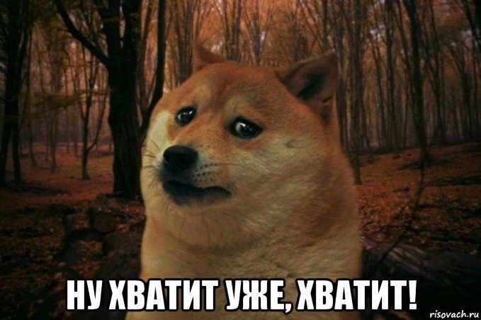  ну хватит уже, хватит!, Мем SAD DOGE