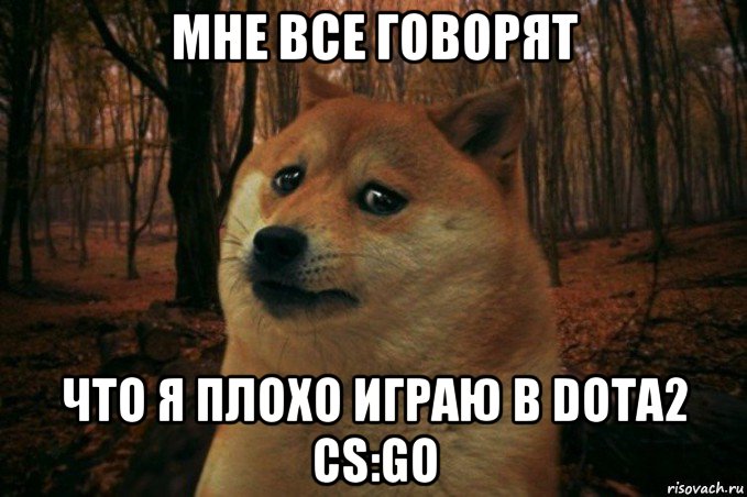 мне все говорят что я плохо играю в dota2 cs:go, Мем SAD DOGE