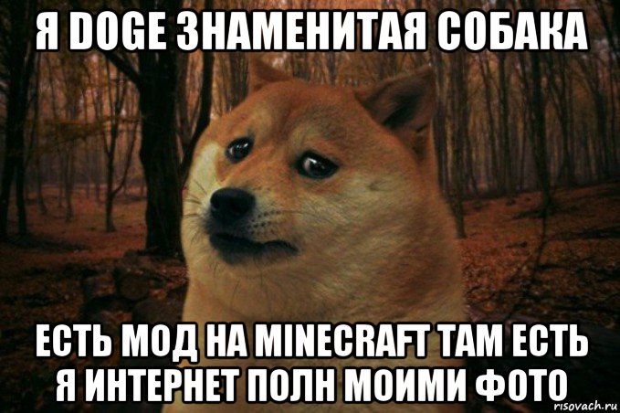 я doge знаменитая собака есть мод на minecraft там есть я интернет полн моими фото, Мем SAD DOGE