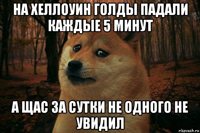 на хеллоуин голды падали каждые 5 минут а щас за сутки не одного не увидил, Мем SAD DOGE