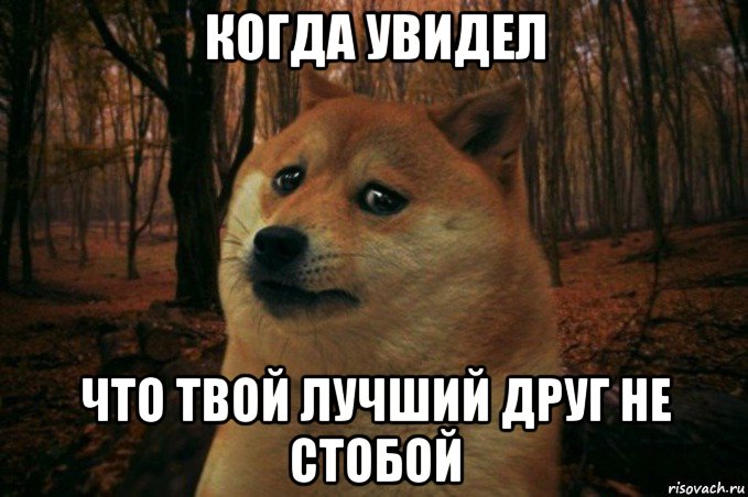 когда увидел что твой лучший друг не стобой, Мем SAD DOGE