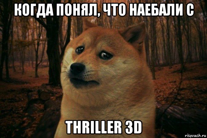 когда понял, что наебали с thriller 3d, Мем SAD DOGE