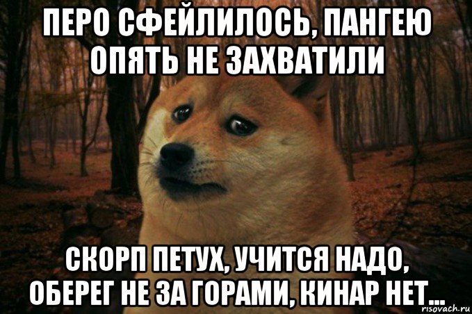 перо сфейлилось, пангею опять не захватили скорп петух, учится надо, оберег не за горами, кинар нет..., Мем SAD DOGE