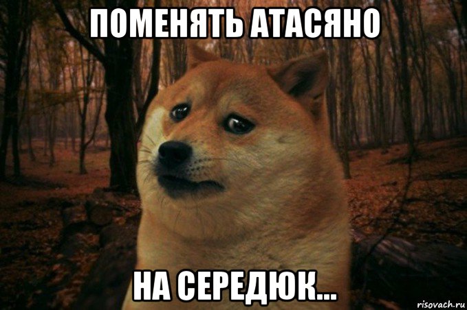 поменять атасяно на середюк..., Мем SAD DOGE