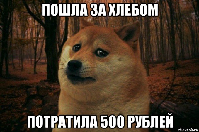 пошла за хлебом потратила 500 рублей, Мем SAD DOGE