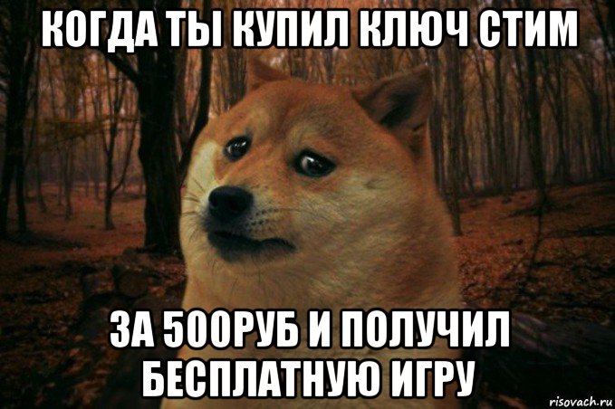 когда ты купил ключ стим за 500руб и получил бесплатную игру, Мем SAD DOGE