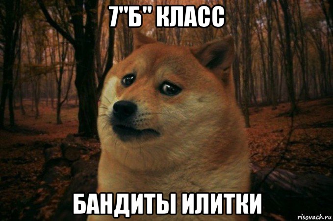 7"б" класс бандиты илитки, Мем SAD DOGE