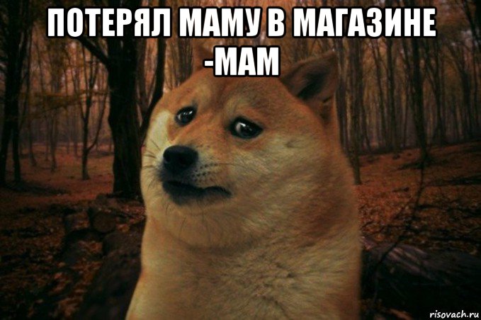 потерял маму в магазине -мам , Мем SAD DOGE