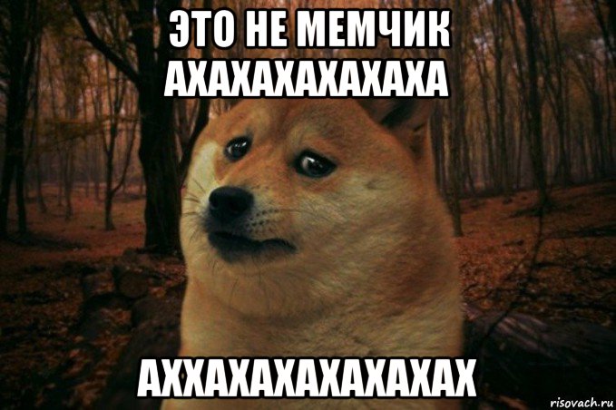 это не мемчик ахахахахахаха аххахахахахахах, Мем SAD DOGE