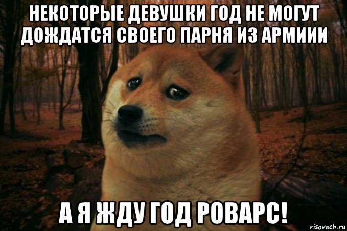 некоторые девушки год не могут дождатся своего парня из армиии а я жду год роварс!, Мем SAD DOGE