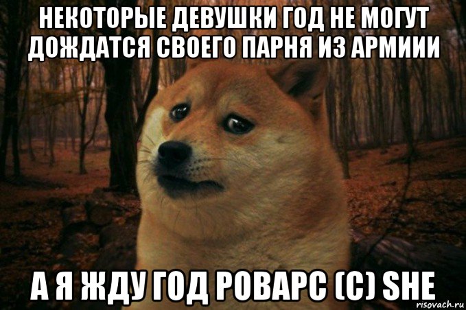 некоторые девушки год не могут дождатся своего парня из армиии а я жду год роварс (c) she, Мем SAD DOGE