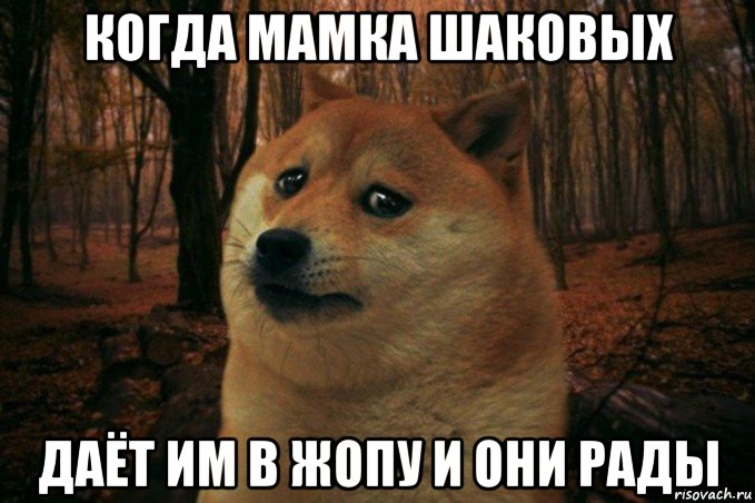 когда мамка шаковых даёт им в жопу и они рады, Мем SAD DOGE