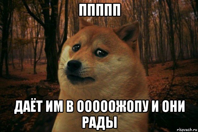 ппппп даёт им в ооооожопу и они рады, Мем SAD DOGE